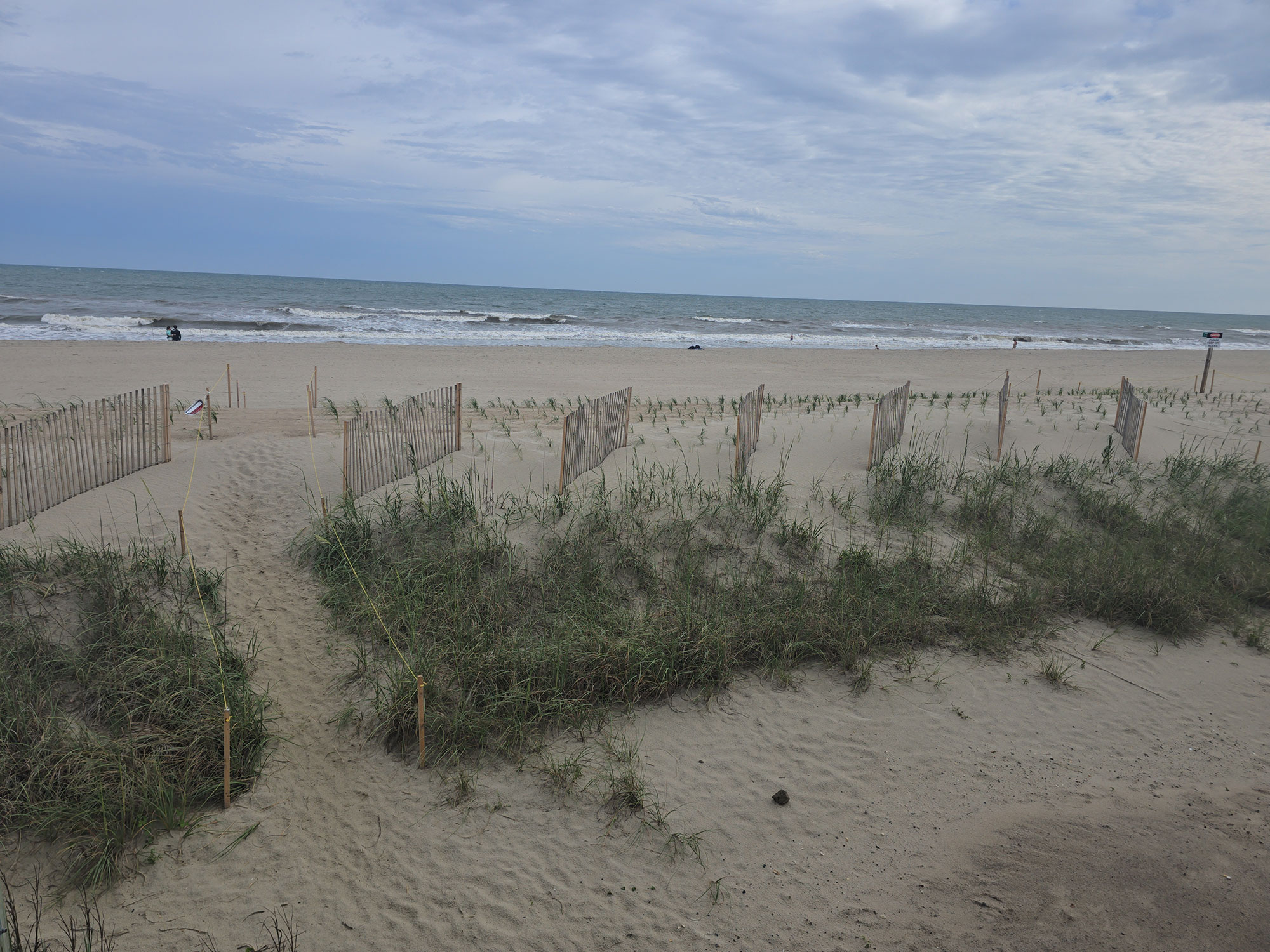 Coast